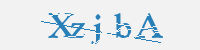 보안문자